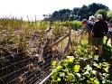 2015-09-28 15-49-36 St Gildas-Apres midi YLe